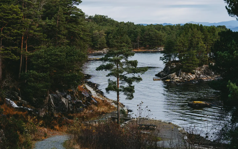Utsikt over en vakker innsjø, innsjøen er omgitt av skog
